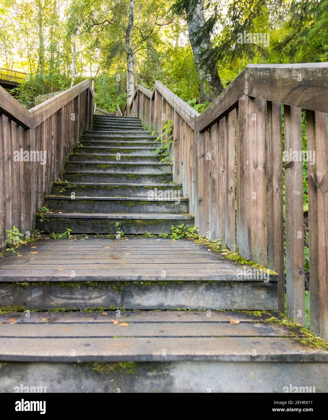 Wooden Steps On A Steep Hillside In The Forest Stock Photo, Picture and  Royalty Free Image. Image 36876055.