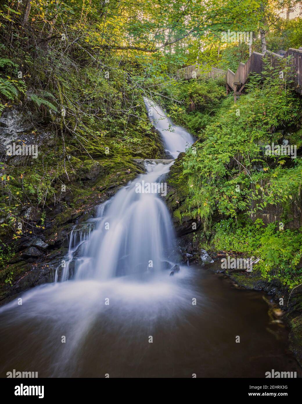 Woodland waterfall hi-res stock photography and images - Alamy