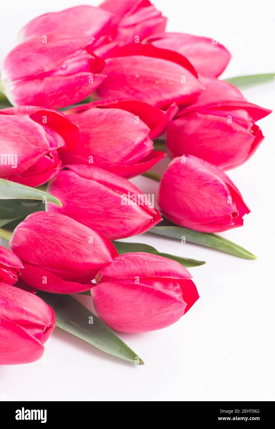 Pink tulips bouquet isolated on white background Stock Photo - Alamy