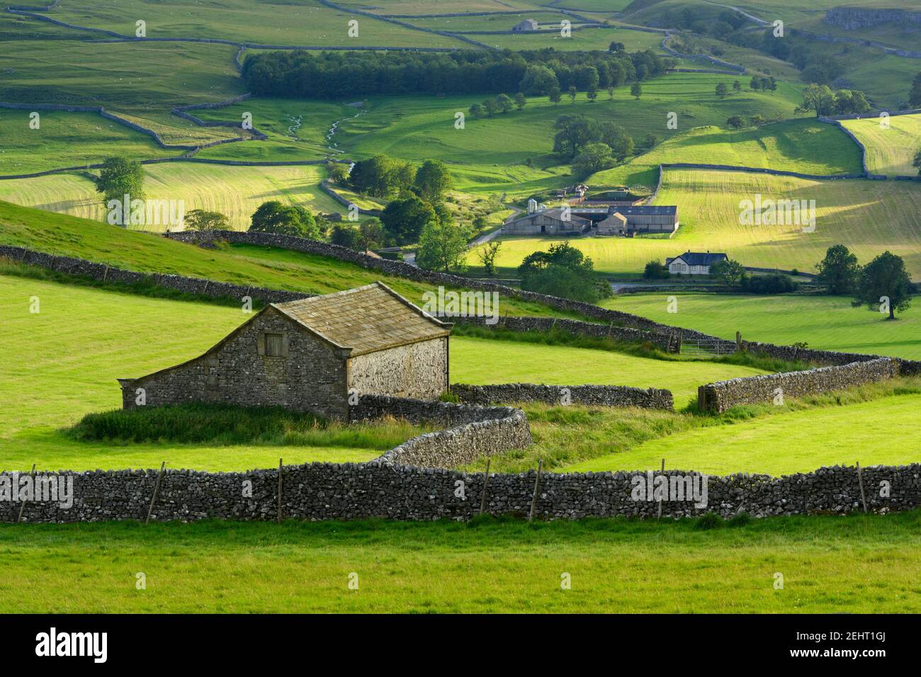 Scenic Wharfedale countryside (valley, hillsides, field barn, drystone walls, green farmland pastures, rolling hills) - Yorkshire Dales, England, UK. Stock Photo