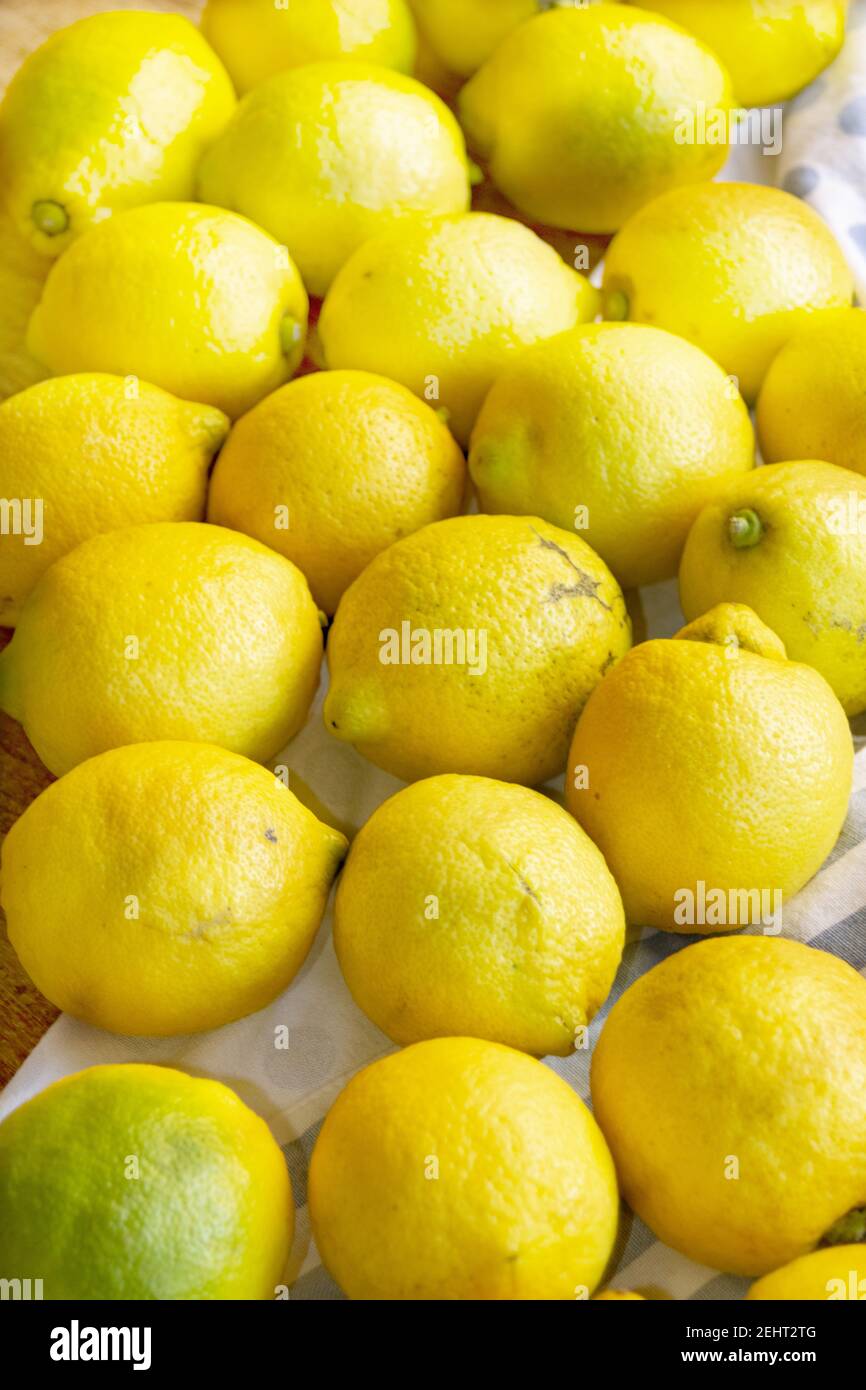bio and organic lemons with edible peel Stock Photo Alamy
