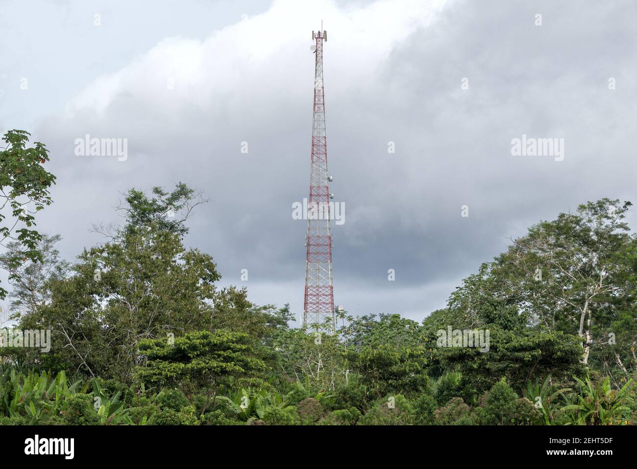 tower, Napo River, Amazon rainforest, Yasuni