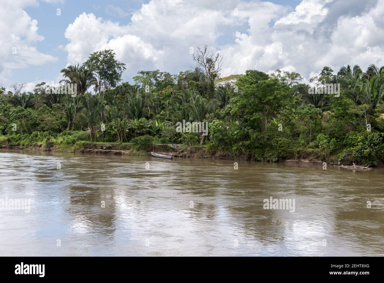Views from Manatee River boat, Amazon rainforest, Yasuni National Park ...