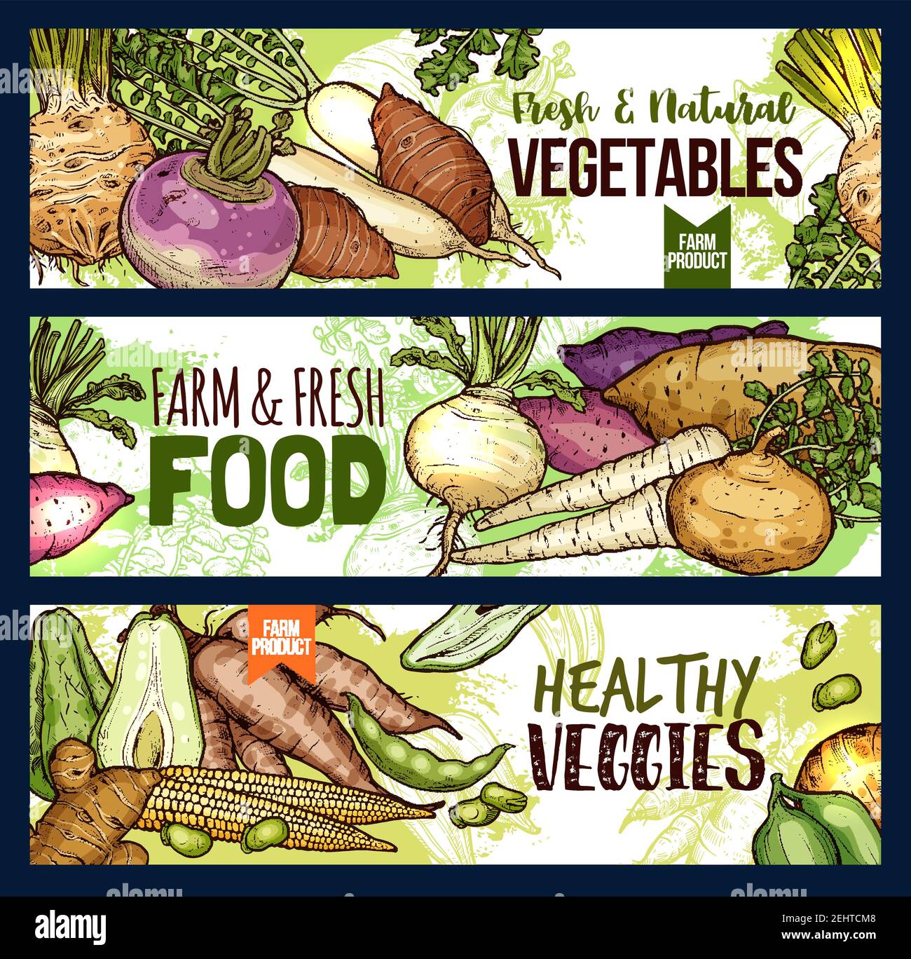 Vegetables food sketch banners of veggie tuber roots and farm. Vector potato, radish or turnip and legume bread beans, natural vegan jicama and cassav Stock Vector