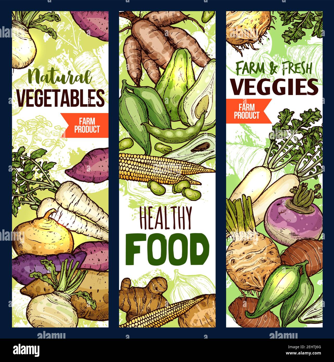 Vegetables healthy food sketch banners. Vector potato and beetroot, celery and arracacia, avocado and peas, corn and beans, jicama. Exotic farm produc Stock Vector