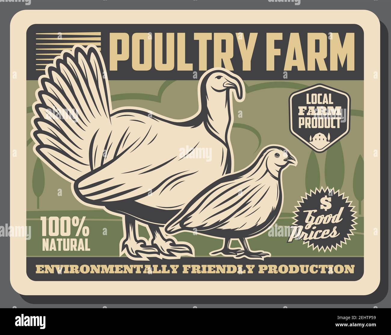 Farm market retro poster, poultry meat products from farm. Vector