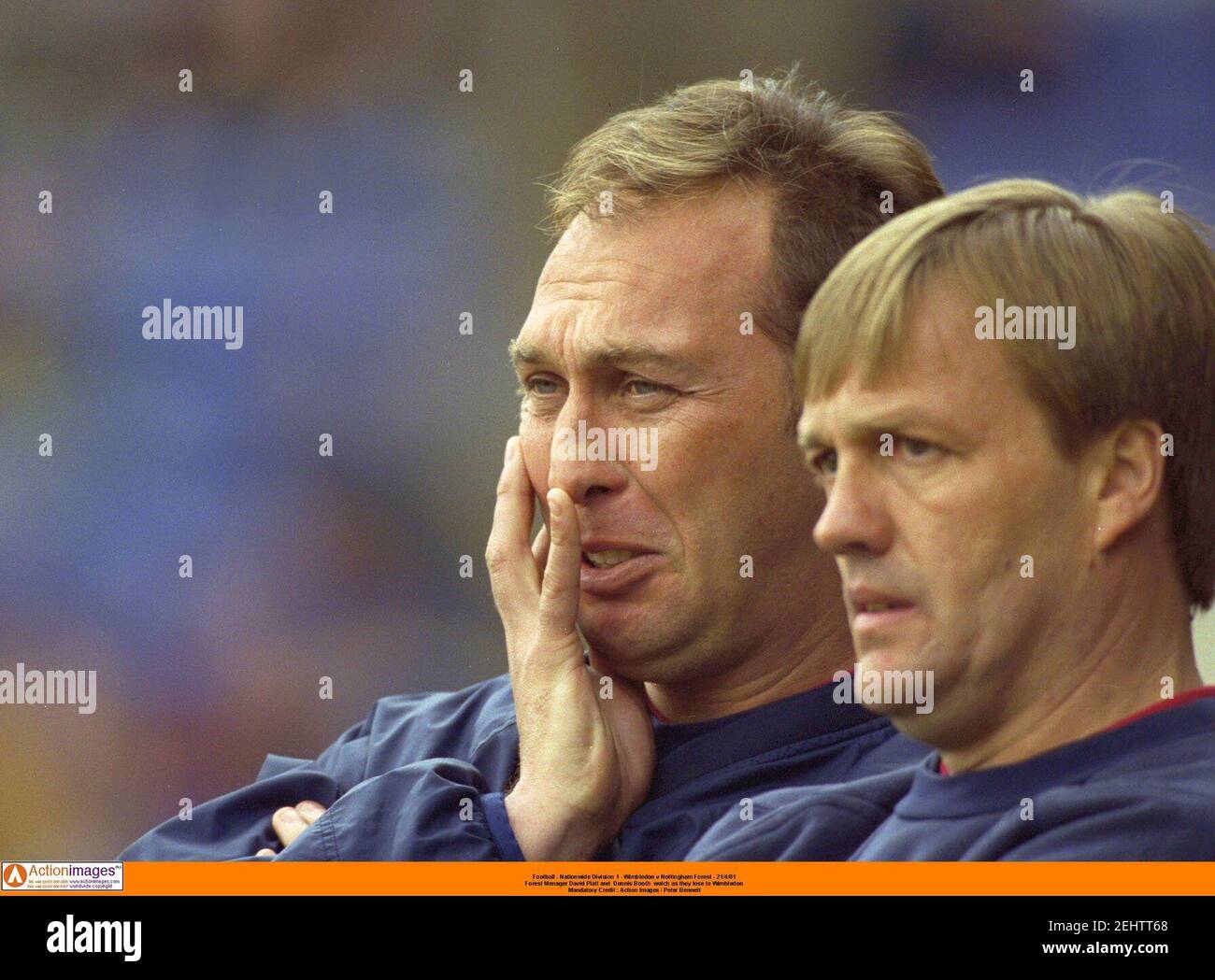 David platt forest hires stock photography and images Alamy