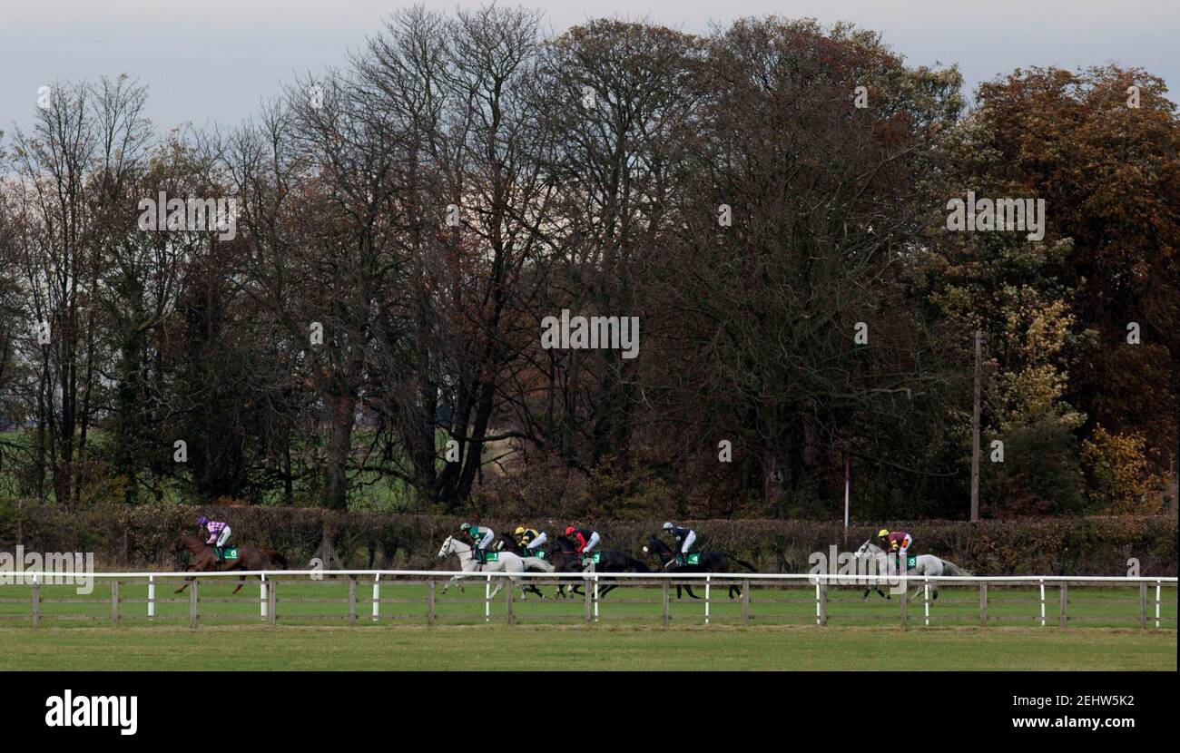 Horse Racing - Wetherby - Wetherby Racecourse - 29/10/11  Runners during the 15.20 bet365 Charlie Hall Steeple Chase  Mandatory Credit: Action Images / Julian Herbert  Livepic Stock Photo
