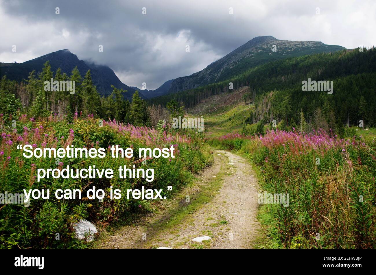 Sometimes the most productive thing you can do is relax. Meditation quote with beautiful nature landscape. Relaxing,yoga quotes. Peaceful Lifestyle. Stock Photo