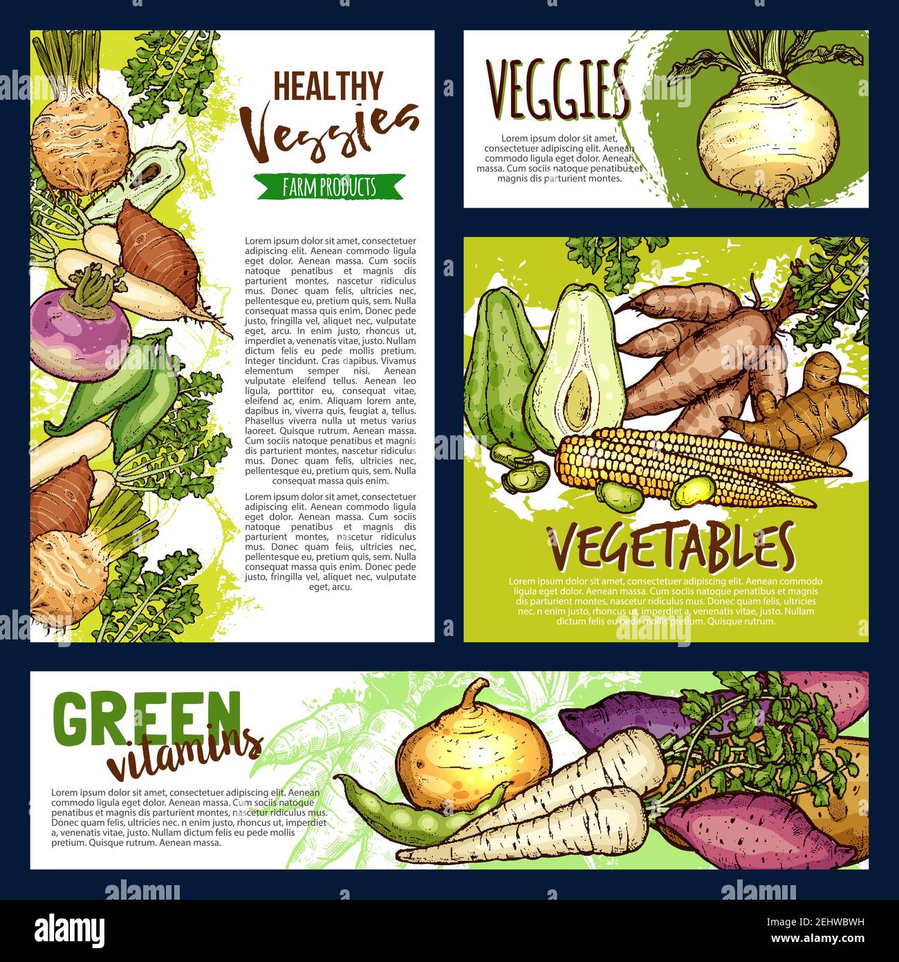 Vegetables and veggies sketch banners. Vector farmer agriculture food potato, radish or turnip and beans, natural jicama and organic cassava manioc wi Stock Vector