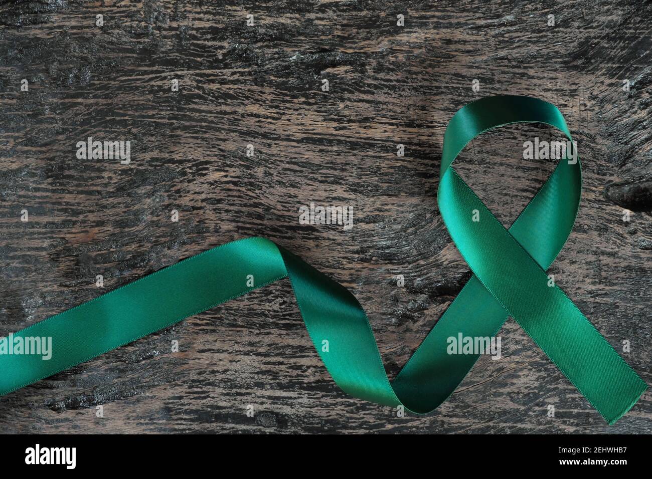 Top view of emerald green ribbon on dark wood background. Liver cancer awareness concept. Stock Photo