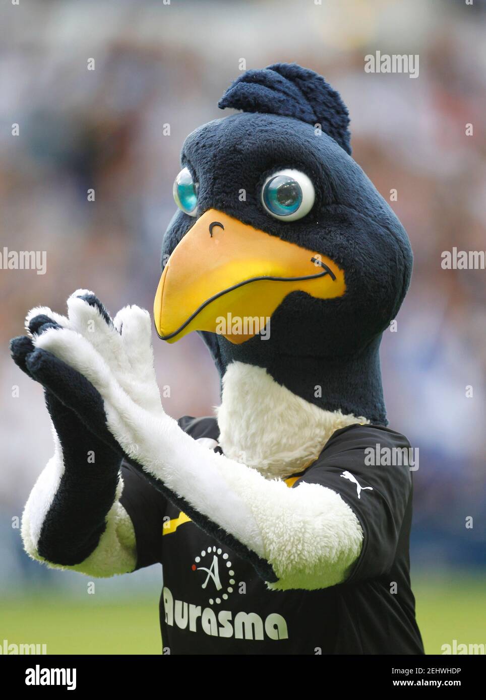 Tottenham Hotspur Mascot High Resolution Stock Photography and Images