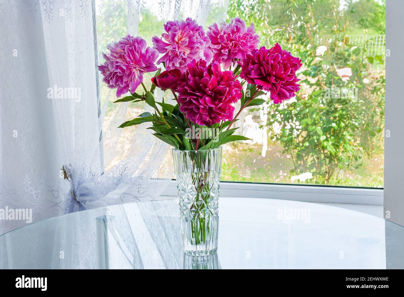 A large bouquet of pink flowers peonies standing in the room on the table in a crystal vase by the window Stock Photo
