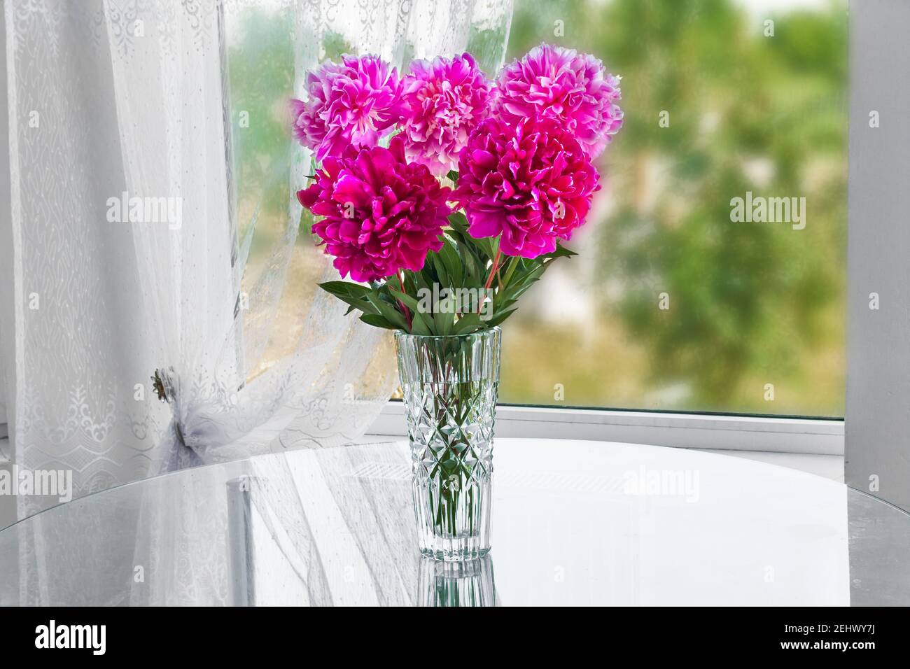 a bouquet of five pink flowers peonies standing in the room on the table in a crystal vase by the window Stock Photo
