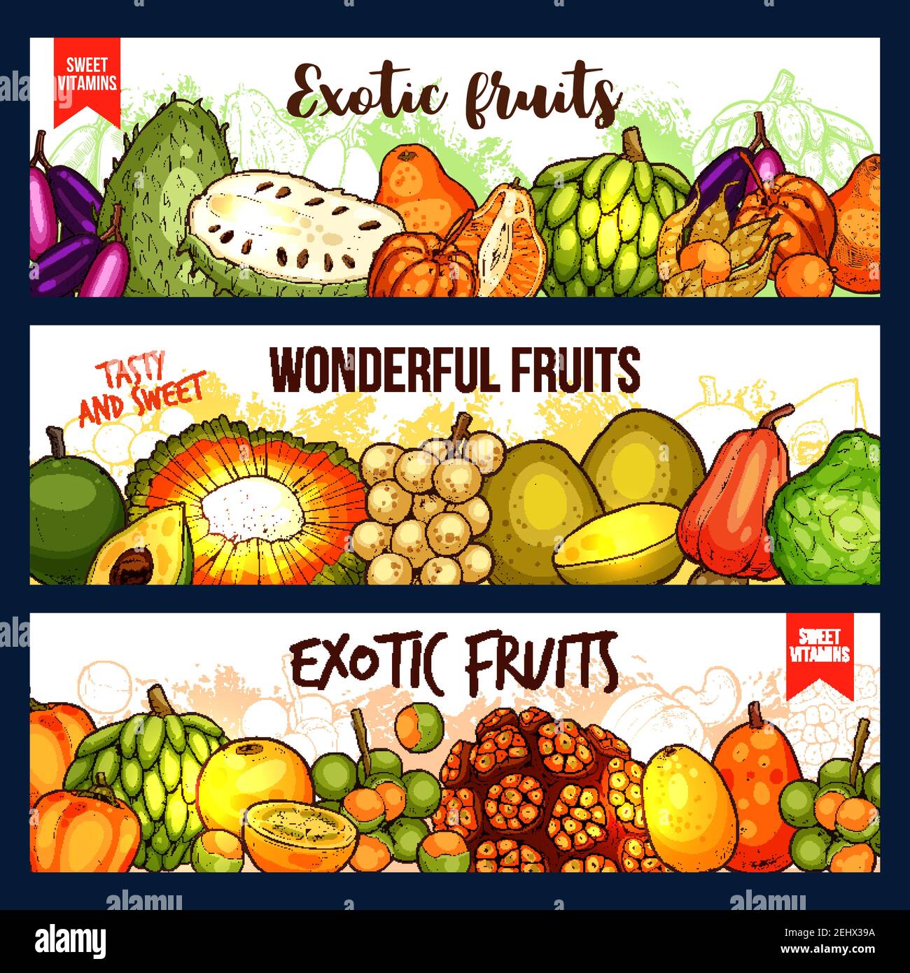 Exotic fruits vector sketch banners. Bergamot and cashew, jackfruit and sugar apple, chompoo and soursop, longkong and dacryodes, citron and cocona, l Stock Vector