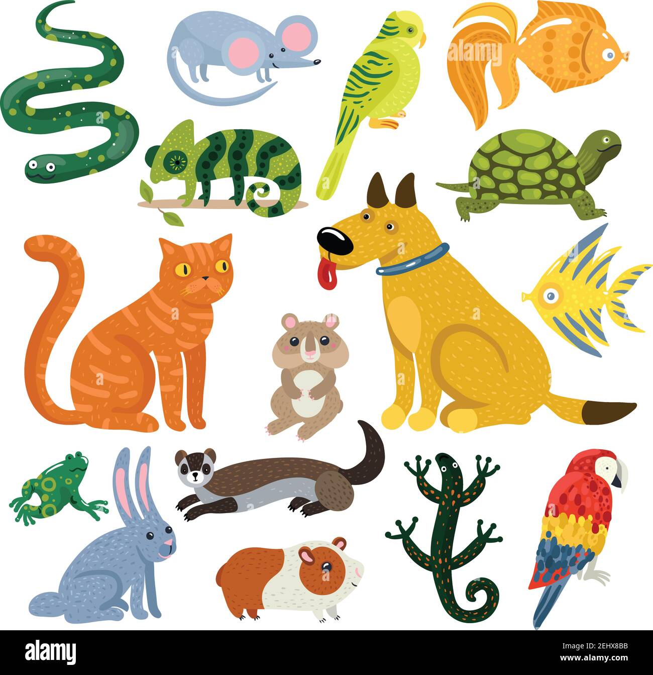 Pets set of colorful icons with cat and dog, fishes, rodents, parrots and reptiles isolated vector illustration Stock Vector