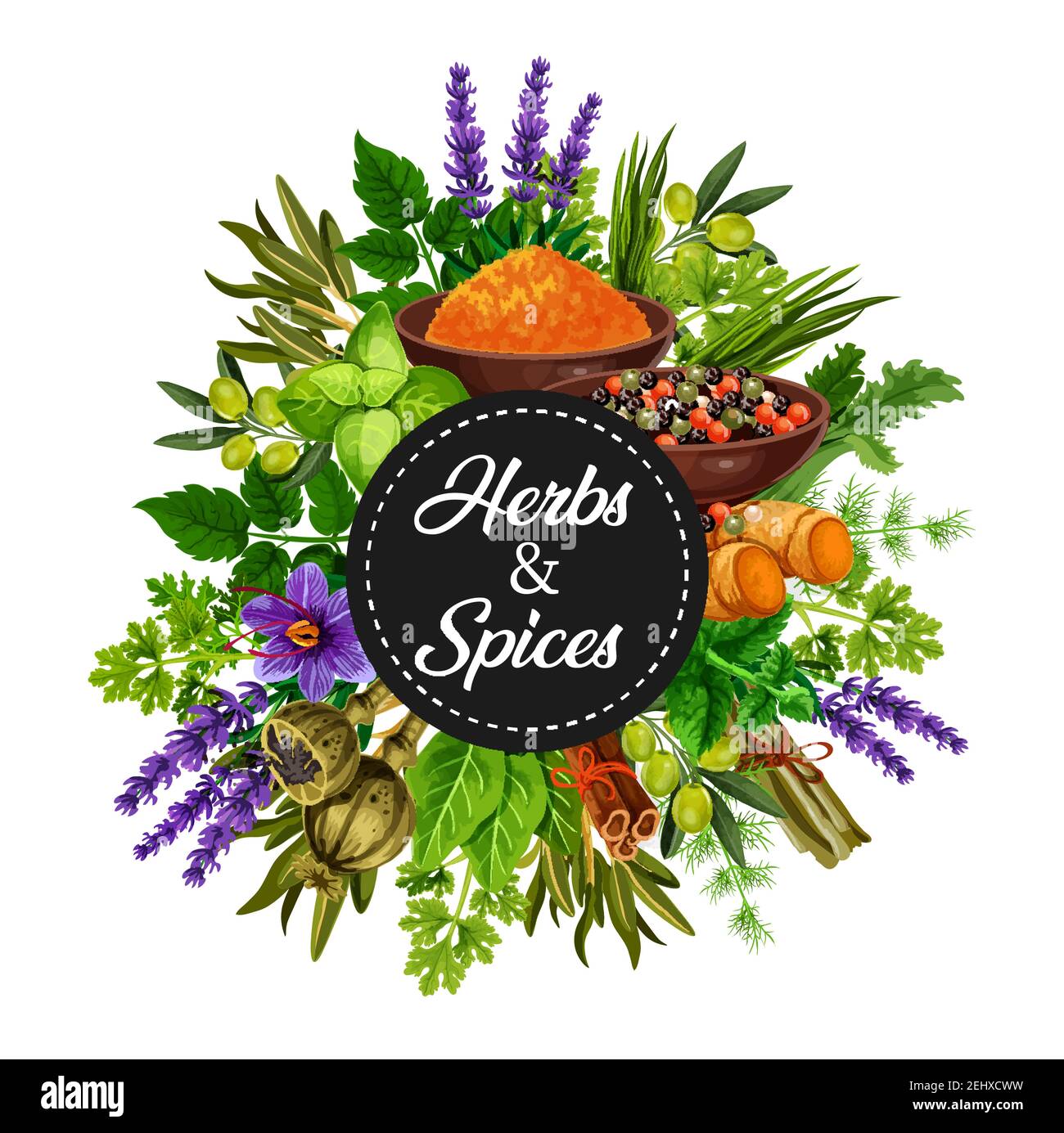 Spices and herbs organic seasonings and cooking flavorings bunch ...