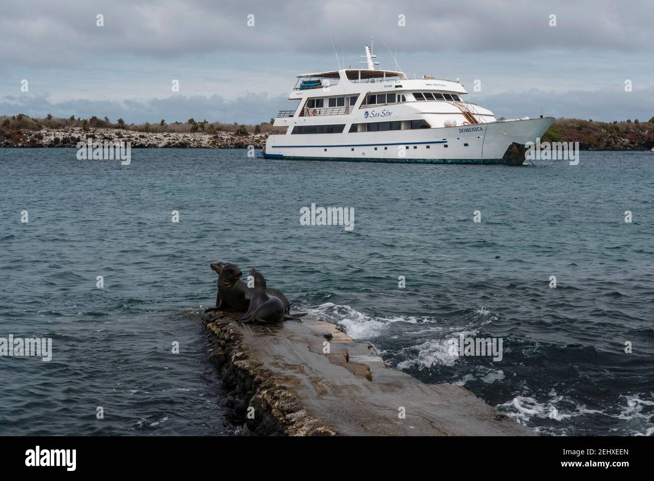 A cruise ship anchored in South Plaza Island, Galapagos islands, Ecuador. Stock Photo