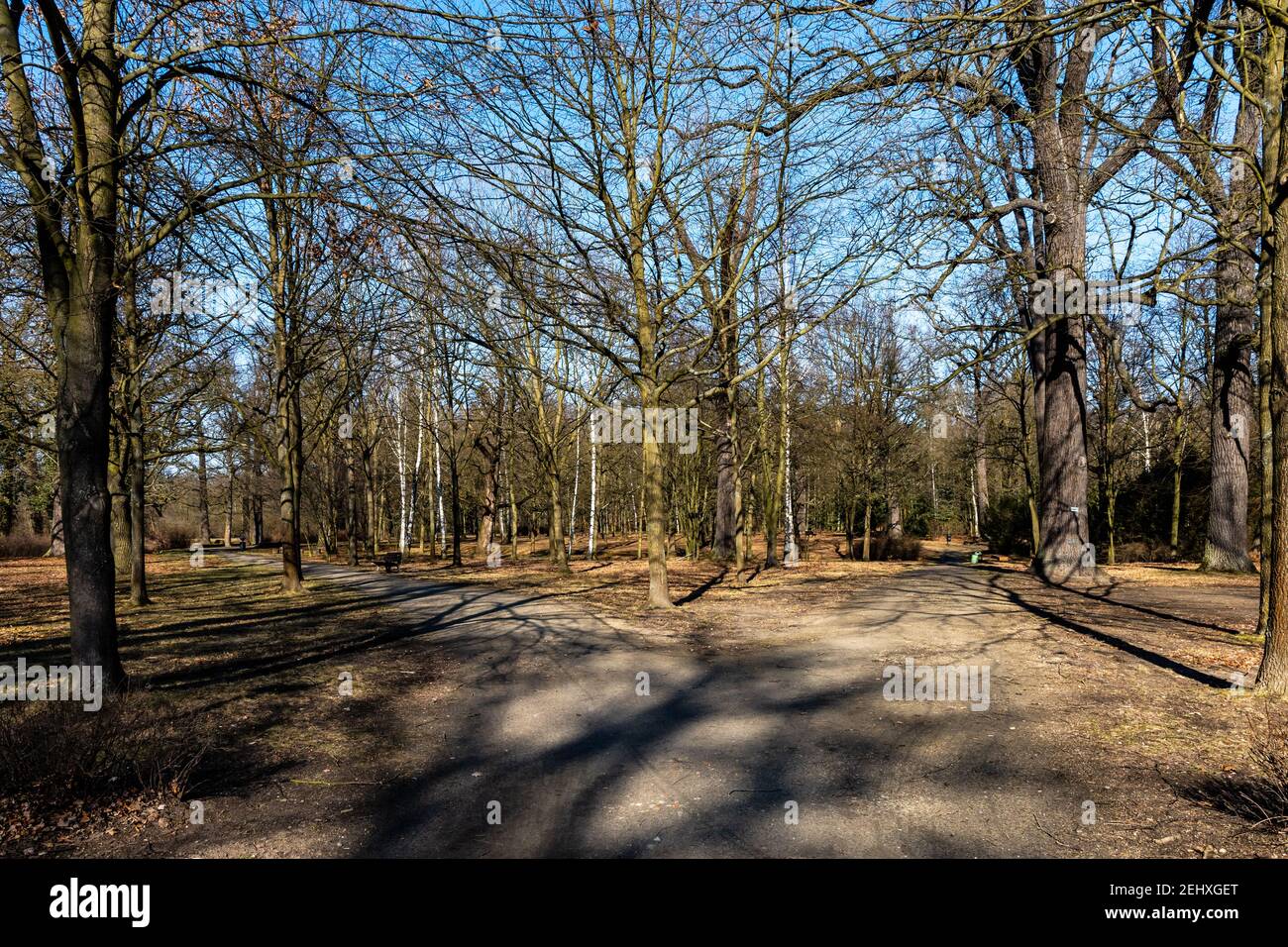 Parks Without Ramps Lesnica park hi-res stock photography and images - Alamy