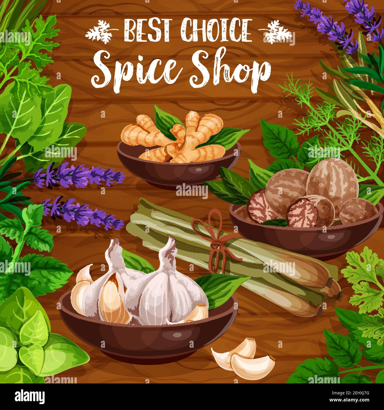 https://c8.alamy.com/comp/2EHXJ7G/cooking-spices-culinary-seasonings-and-herbs-vector-organic-natural-herbal-flavorings-garlic-ginger-or-nutmeg-and-sage-or-bay-leaf-lavender-or-lem-2EHXJ7G.jpg