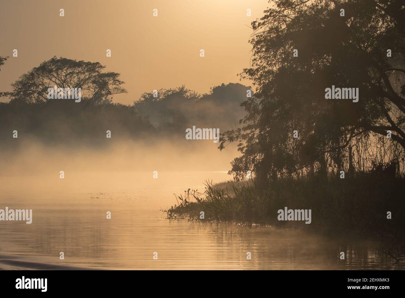 Mato grosso brazil landscape hi-res stock photography and images - Alamy