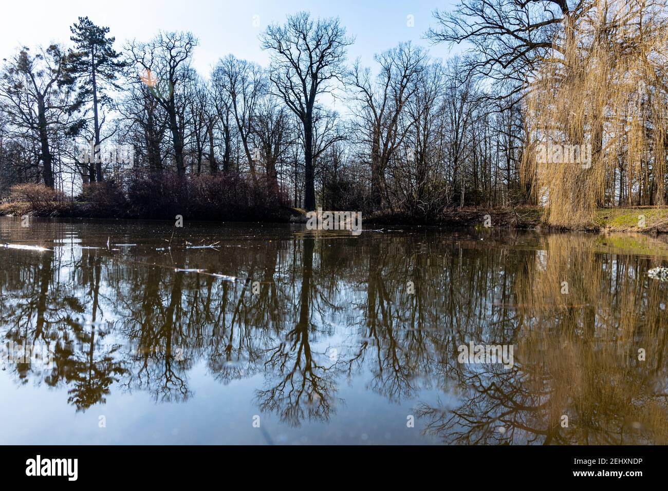 Trees and bushes reflecting in big pond in small park Stock Photo - Alamy