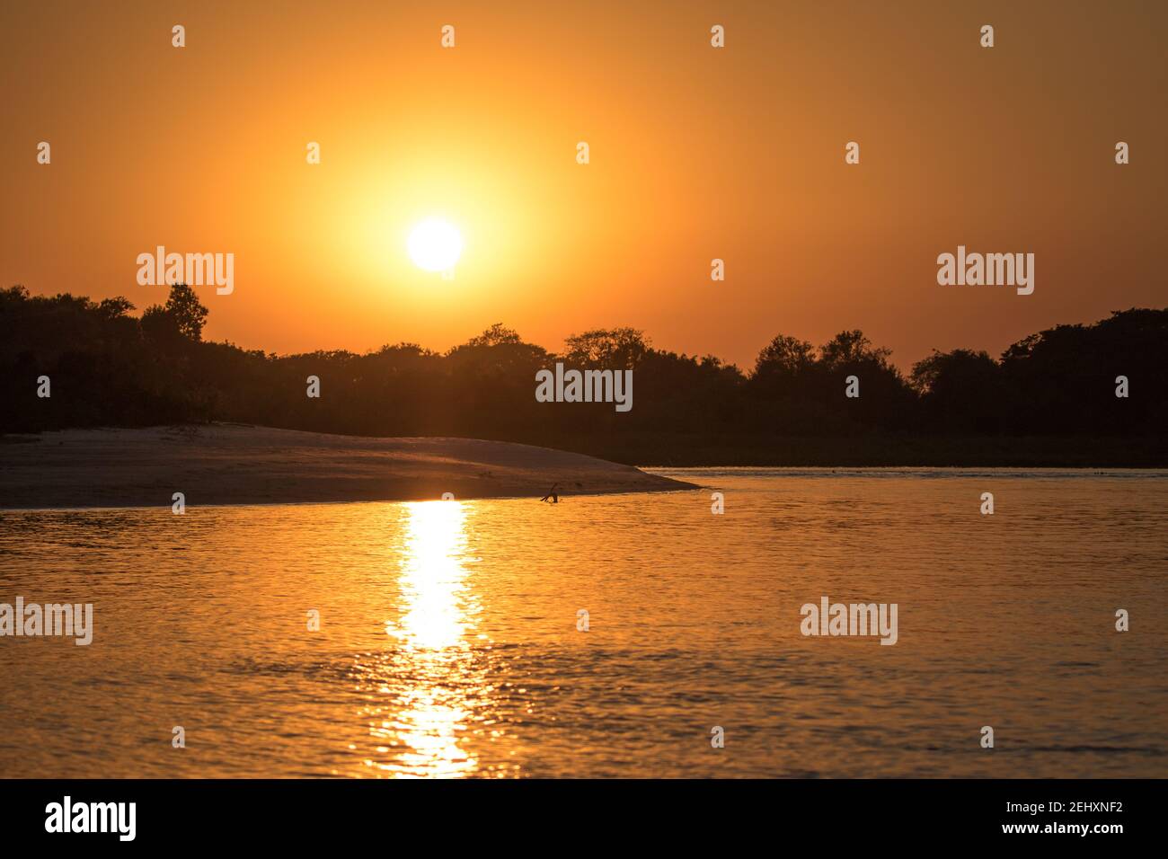 Mato grosso brazil landscape hi-res stock photography and images - Alamy