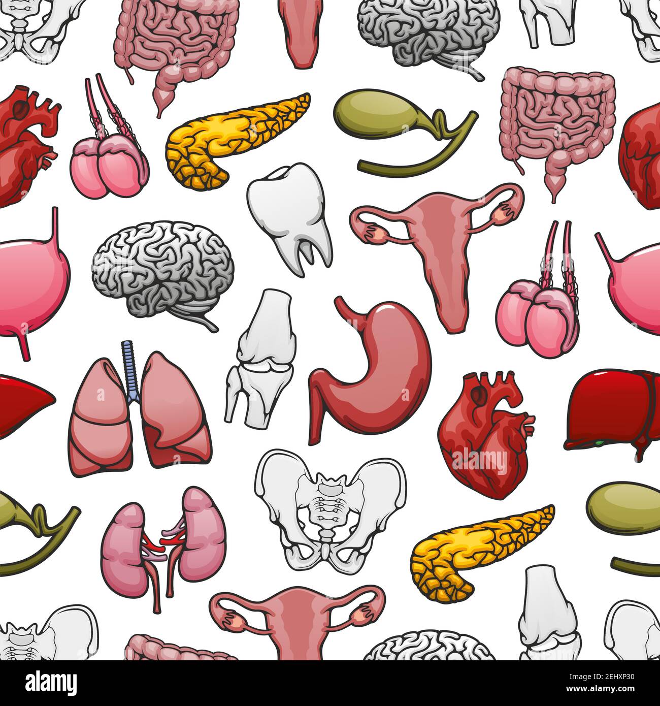 Human organs, bones and joints seamless pattern background. Heart, brain and lungs, kidney, liver and intestines, pelvis, knee and tooth, uterus, test Stock Vector