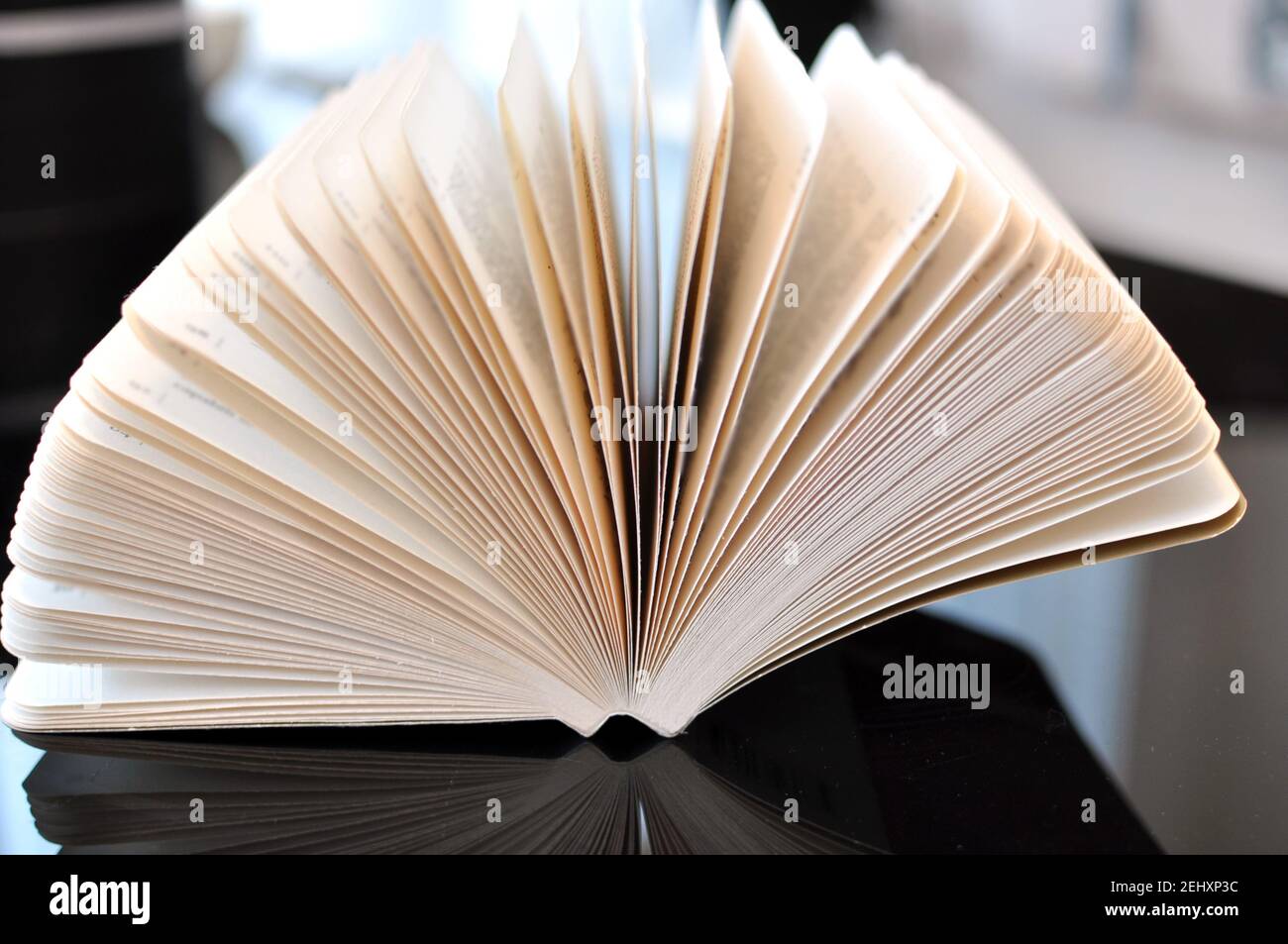 Education concept. A side view of an open book. Stock Photo