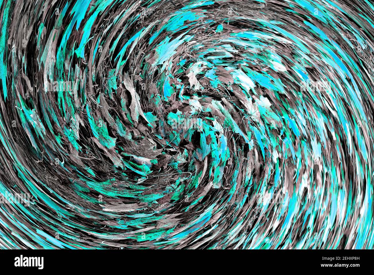 Abstract: Swirl or spiral of turquoise tinted Autumn leaves lying on grey grasses Stock Photo