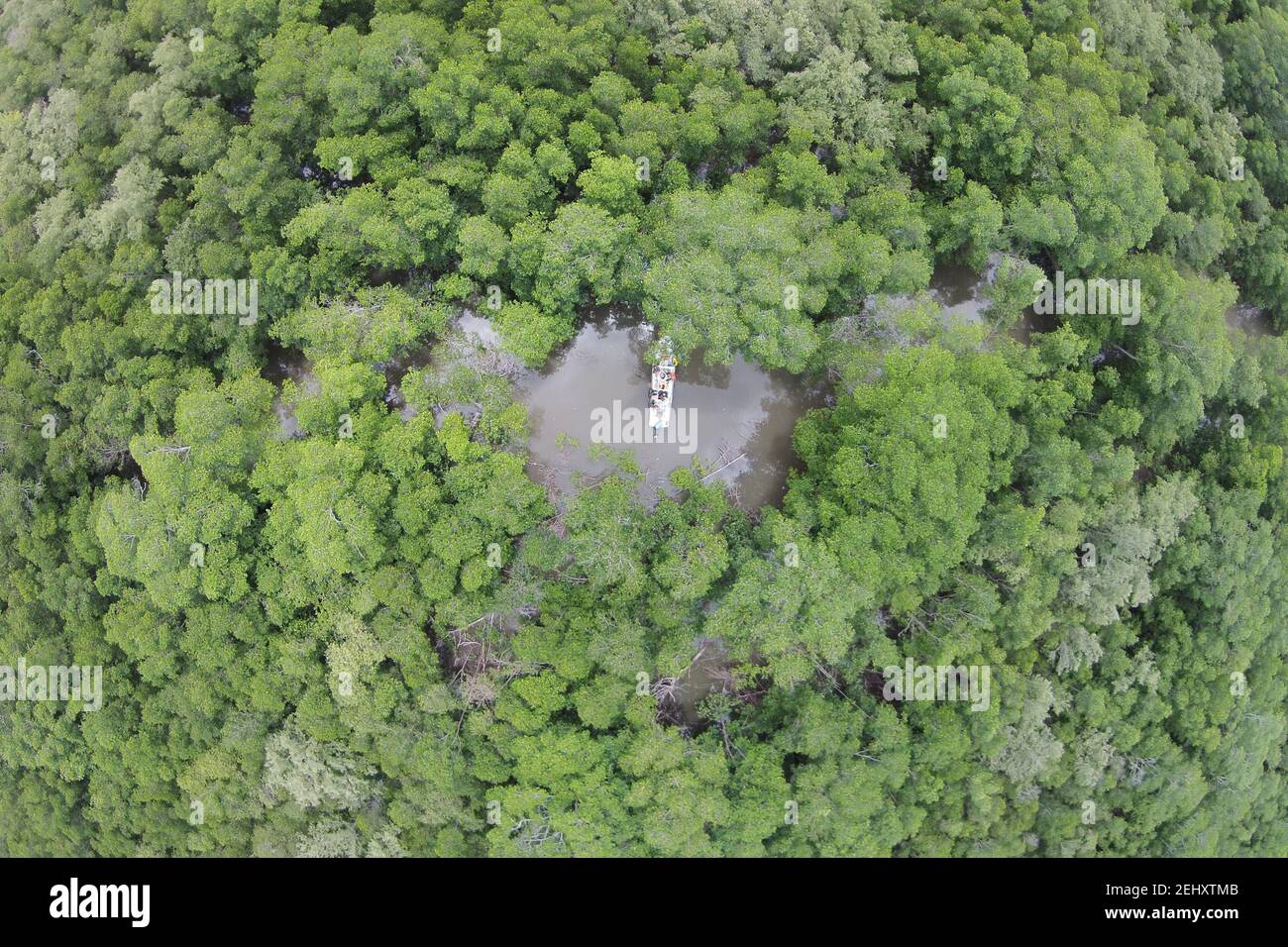 Aerial view wonderful green hi-res stock photography and images - Alamy