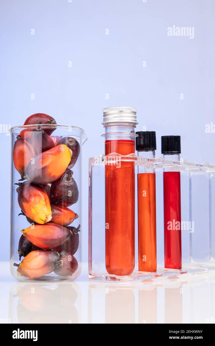 Red color unrefined palm oil and fruits with beaker test tube in laboratory Stock Photo