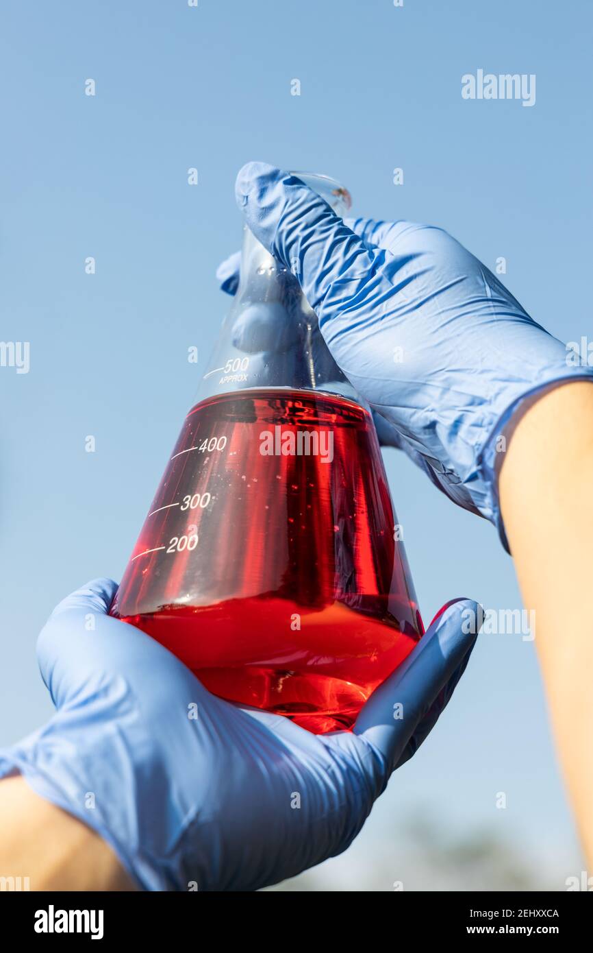 Hand with gloves holding beaker with red color unrefined palm oil against blue sky Stock Photo