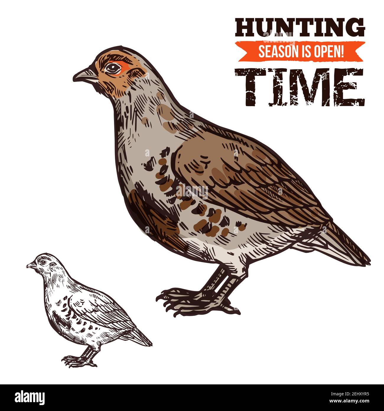 Hunting season, wild grouse in brown plumage. Bird or poultry prey, hunt time, hunters club. Vector fat animal with beak and wings, shooting sport or Stock Vector