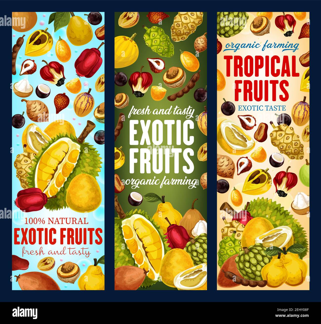 Exotic tropical fruits banners. Vector pandanus, durian or persimmon and tamarind, sapodilla or cashew apple with pomelo citrus and tangerine, bergamo Stock Vector