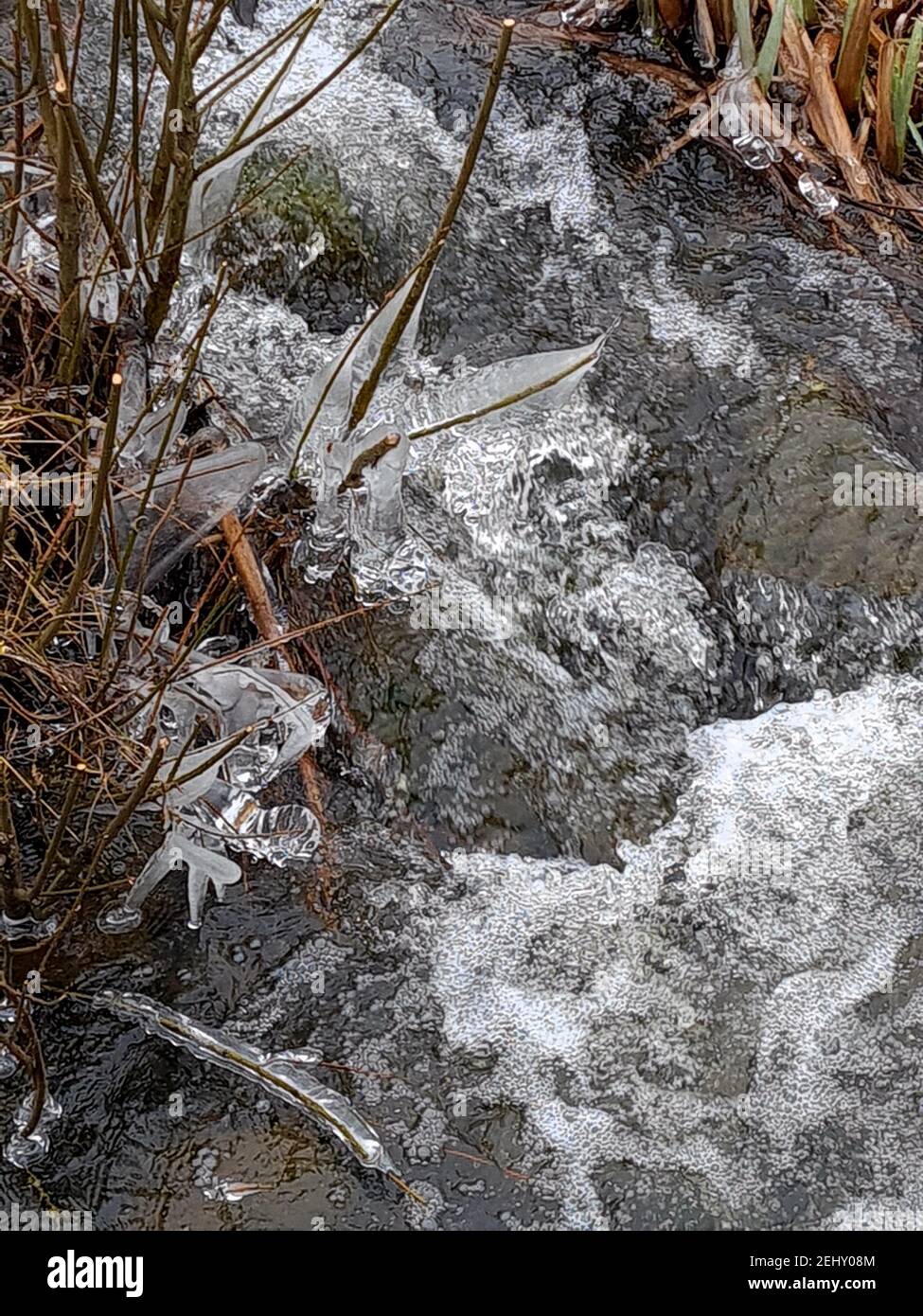 Frozen leaf shape in Winter Stock Photo