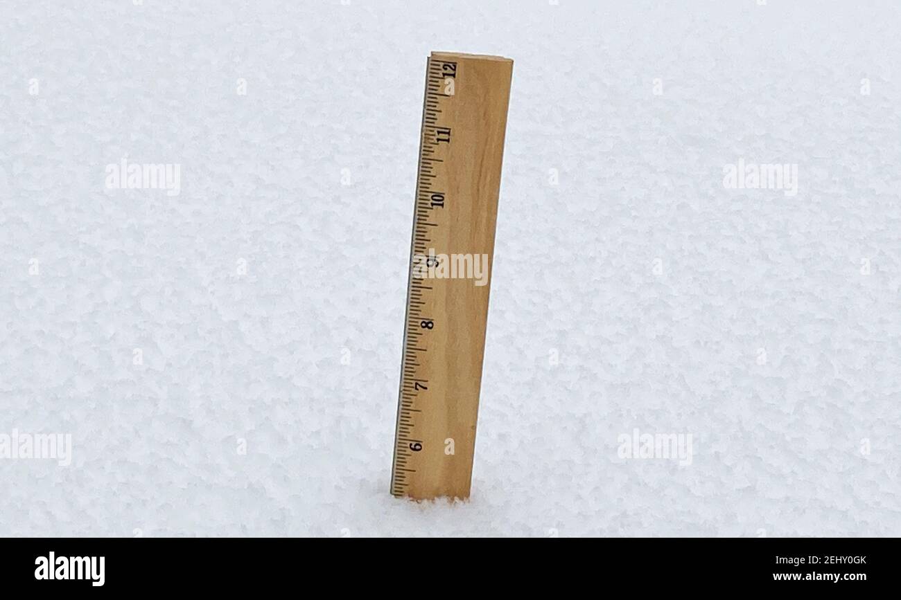 A wooden ruler sticking out of the snow measuring five inches of snow