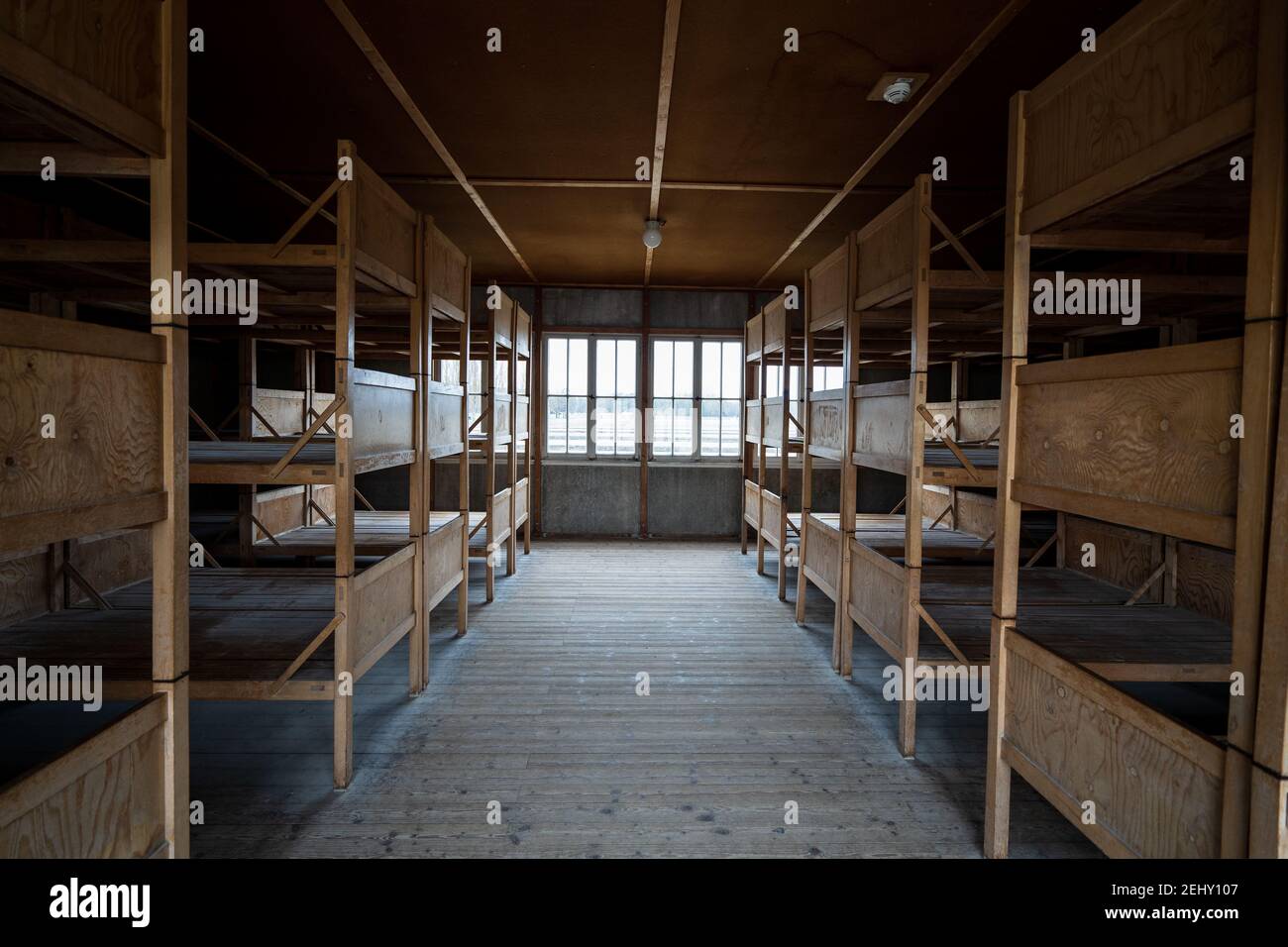 arbeitsagentur dachau