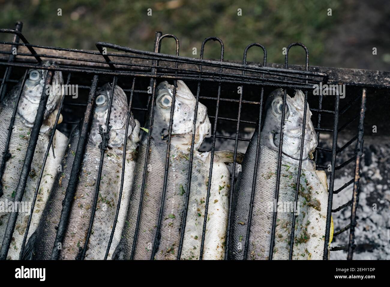 fish on the grill cooking fishing outdoor recreation Stock Photo - Alamy