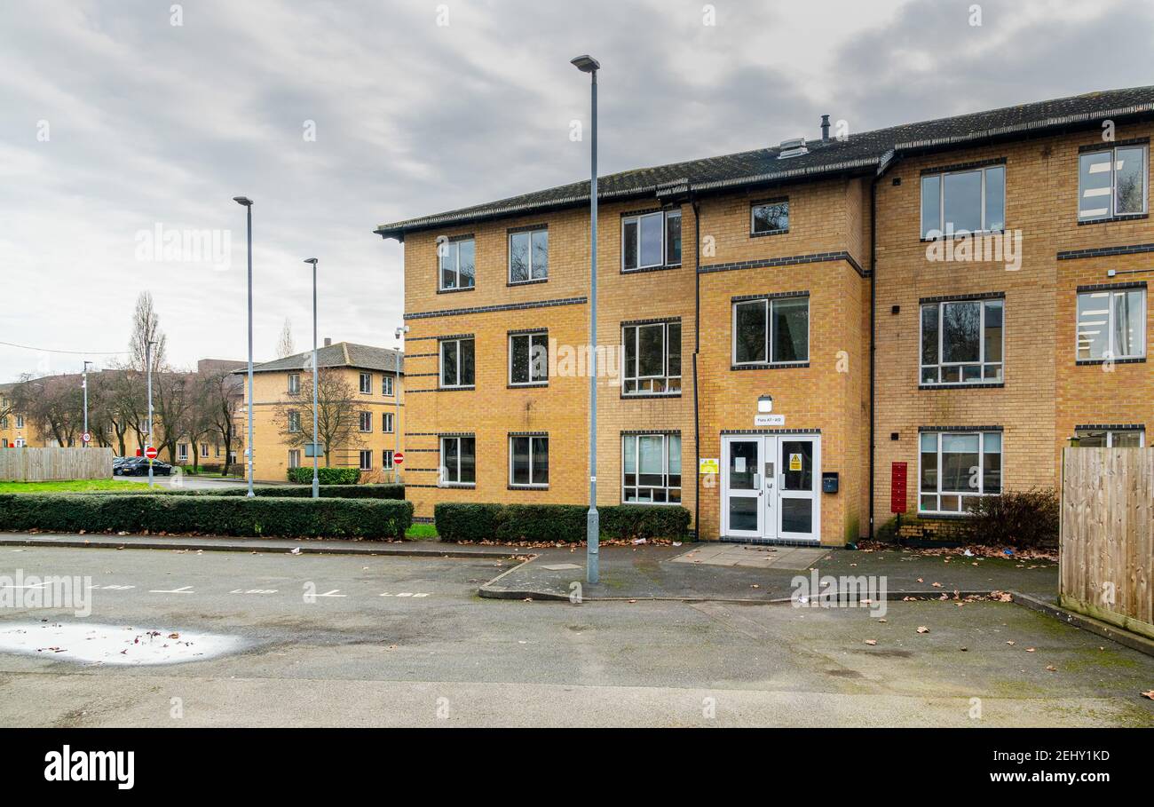 Kendrick Hall's Instagram, Twitter & Facebook on IDCrawl