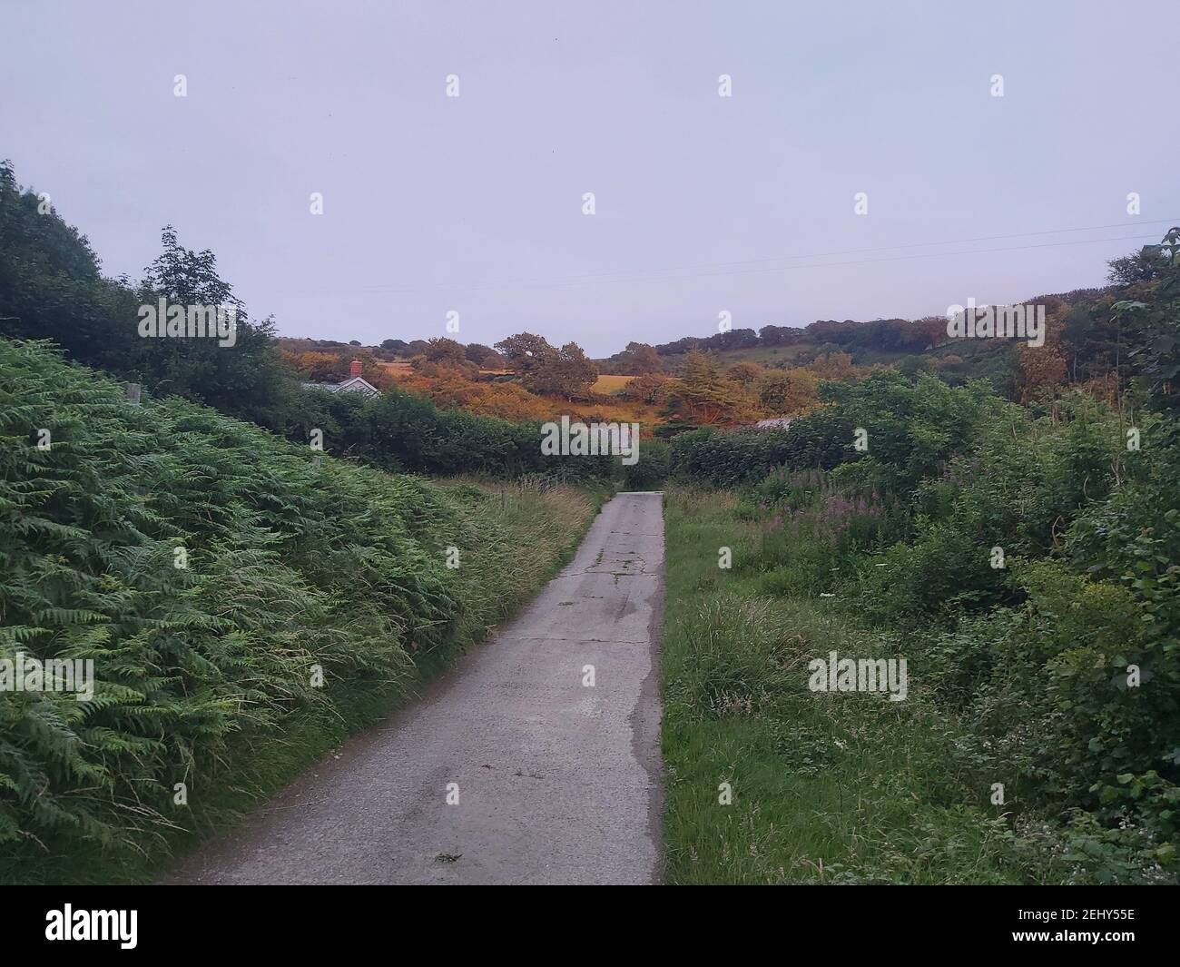 West exmoor hi-res stock photography and images - Alamy