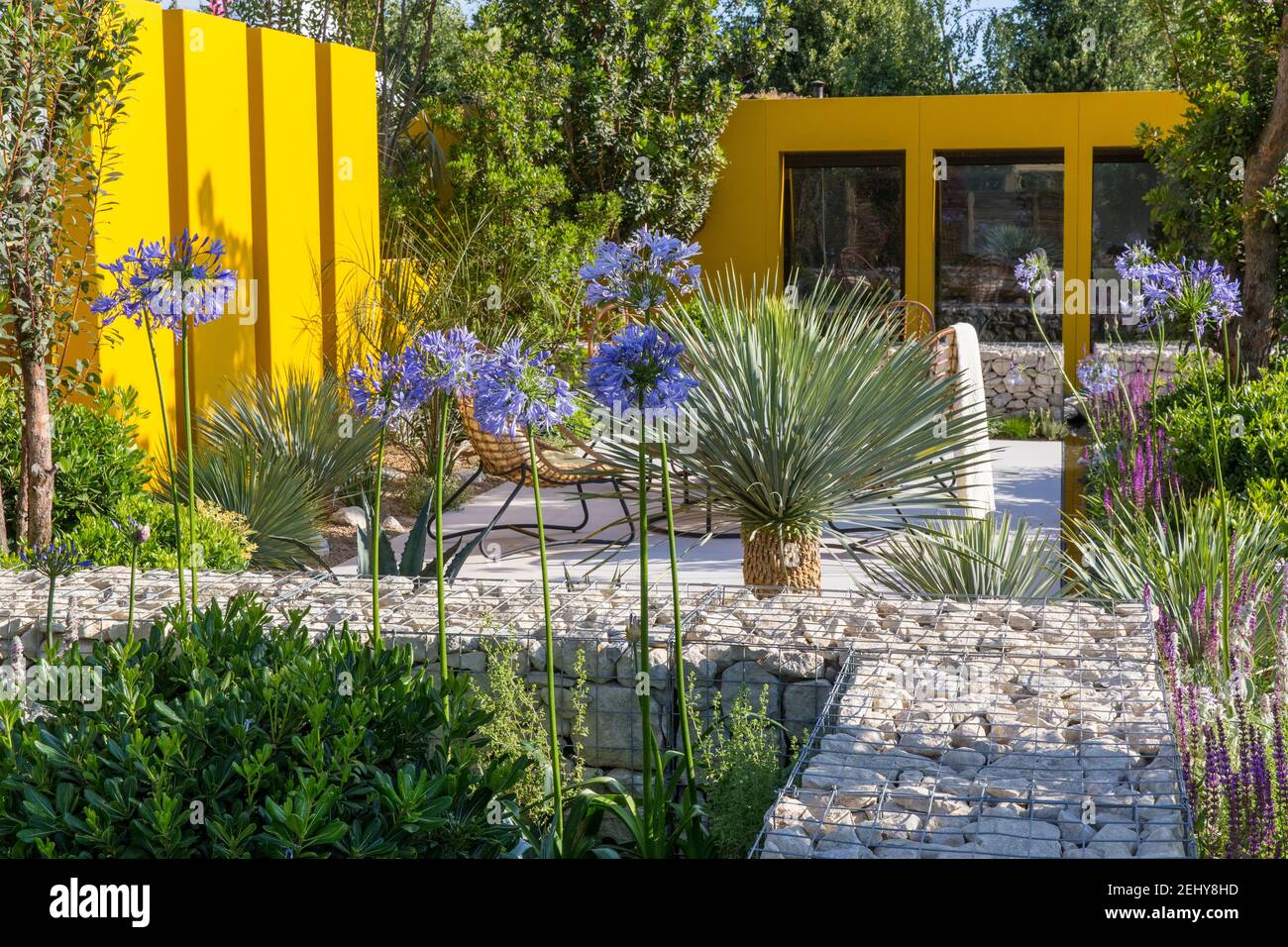 garden home office studio in Mediterranean garden with stone paved patio seating area - yellow fence and gabion wall with agapanthus Blue Storm Stock Photo