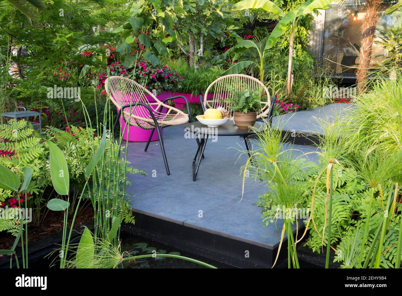 Tropical garden uk cane rattan chairs and table on dark stone modern patio paving with Busy Lizzie Imara in borders pampas grass and ferns UK Stock Photo