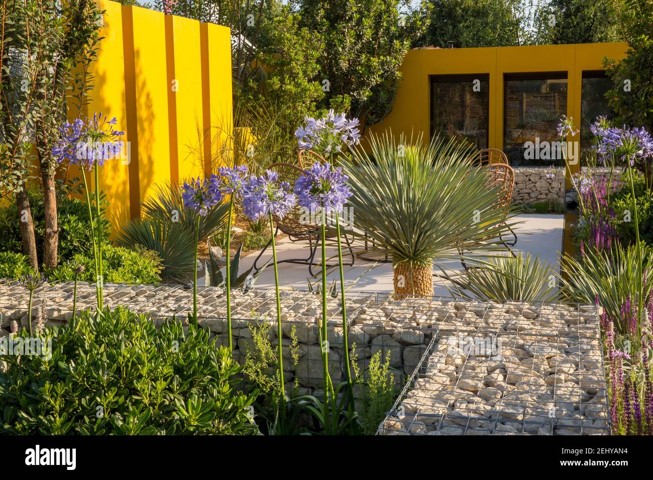 Modern garden office - home office studio in Mediterranean climate garden with Agapanthus Blue Storm and Yucca rostrata Blue Swan gabion gabions wall Stock Photo