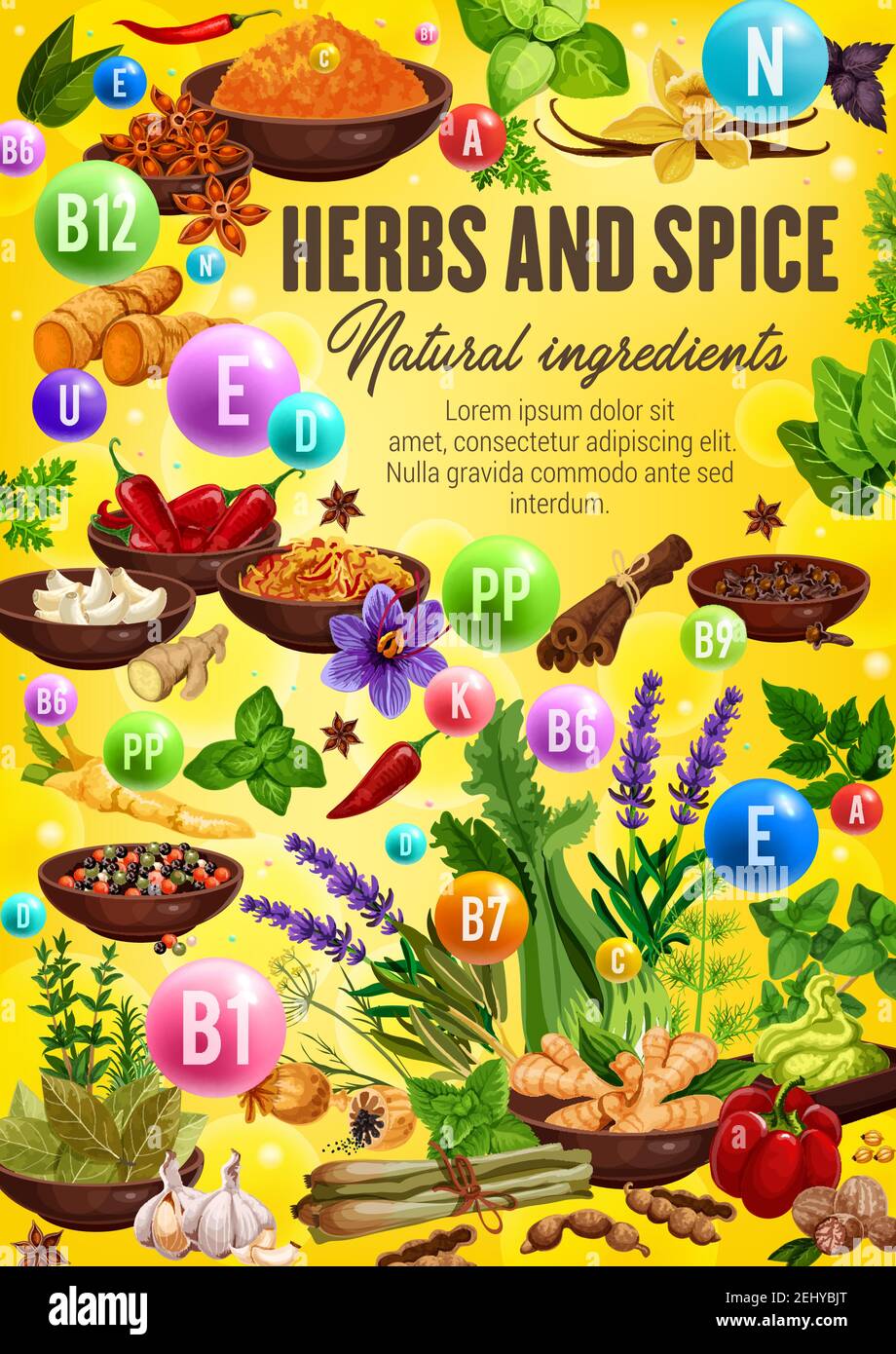 https://c8.alamy.com/comp/2EHYBJT/vitamins-and-minerals-in-spices-and-herbs-vector-chili-pepper-ginger-and-garlic-vanilla-basil-and-cinnamon-star-anise-dill-and-turmeric-saffron-2EHYBJT.jpg
