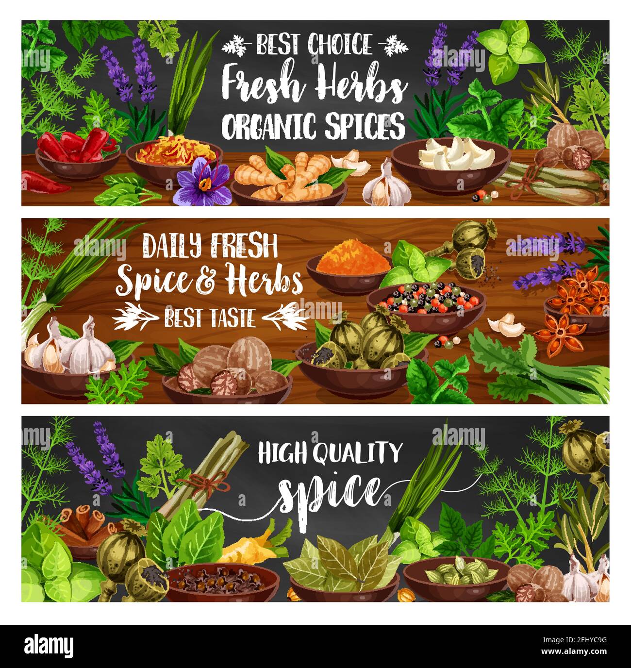 Condiments Banner Indian vegetable shop Stock Vector Images - Alamy