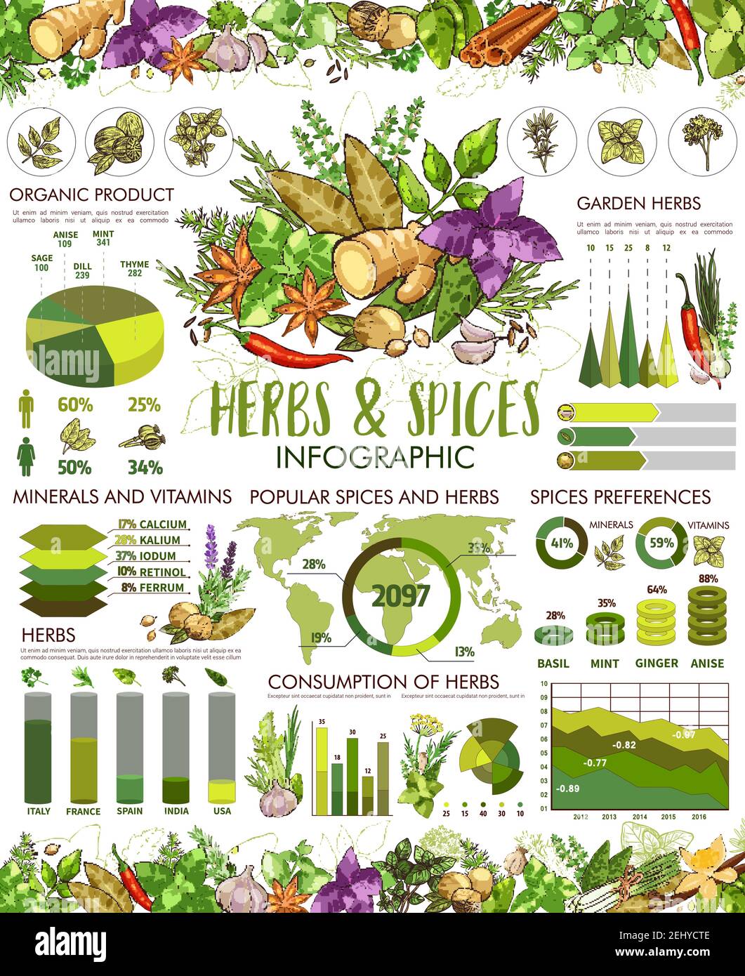 https://c8.alamy.com/comp/2EHYCTE/herbs-and-spice-infographic-cooking-seasonings-vector-anise-star-and-basil-mint-and-chili-pepper-rosemary-and-parsley-charts-garlic-and-ginger-d-2EHYCTE.jpg
