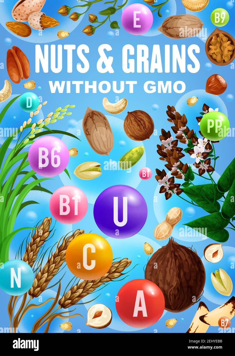 Vitamins and minerals in nuts, cereals and grains vector design with