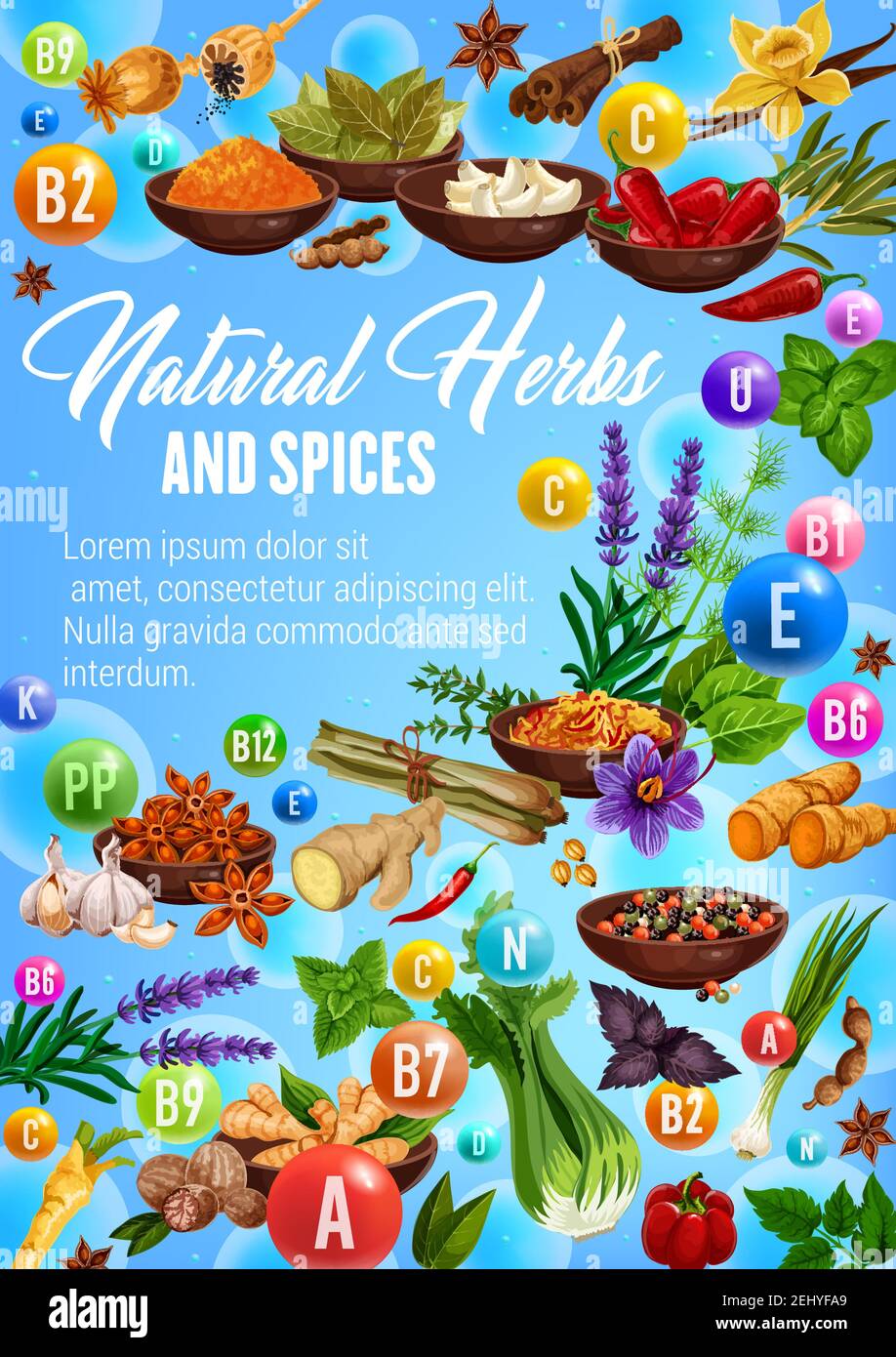 Spices, cooking herbs and herbal seasonings vitamins. Vector