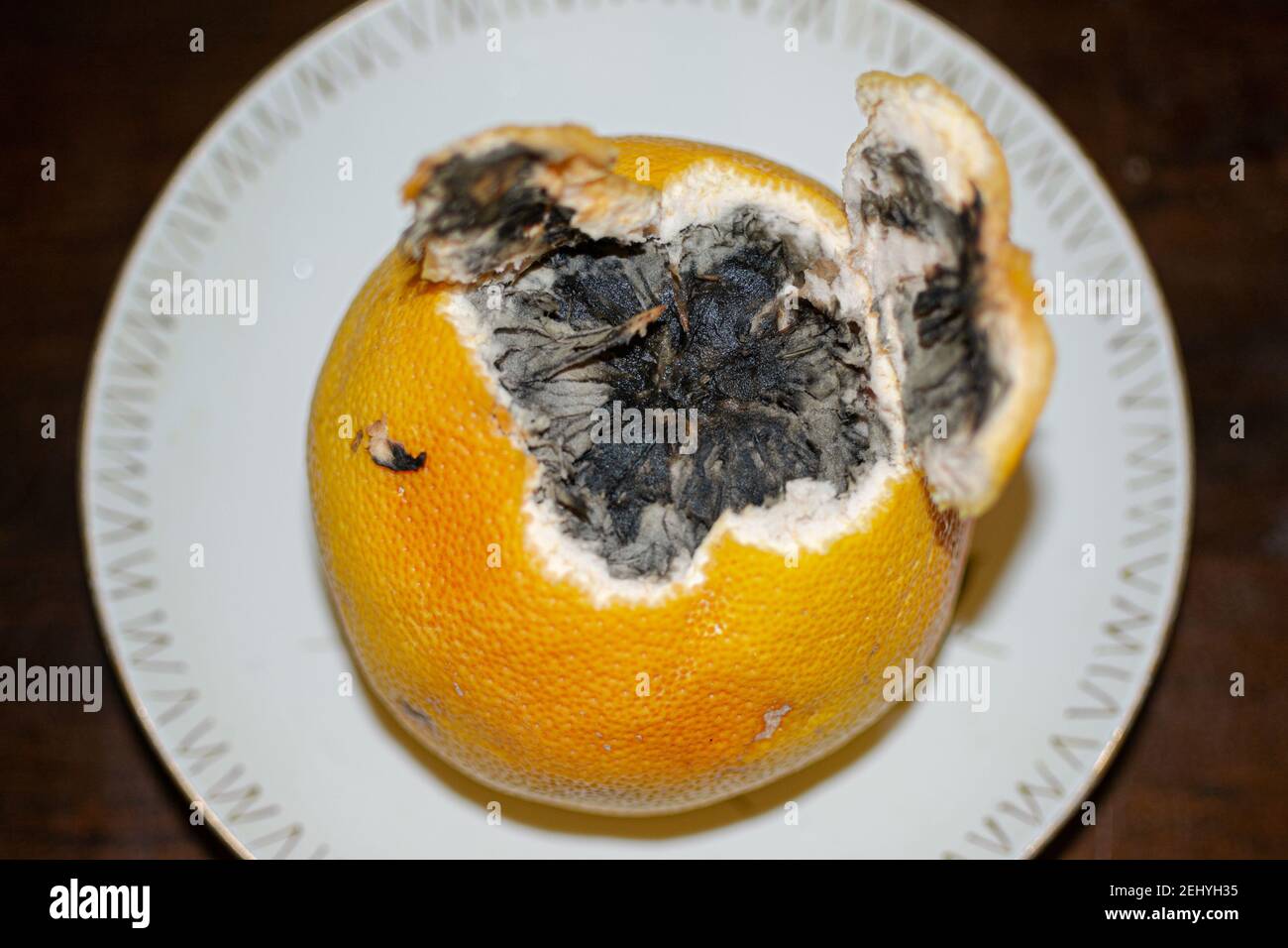 one damaged rotten grapefruit on white background Stock Photo